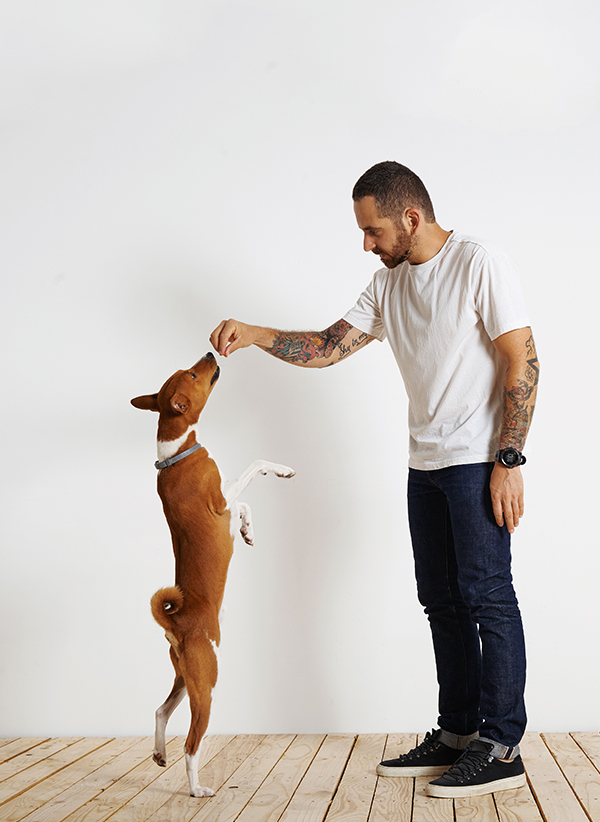 blog-single-img a